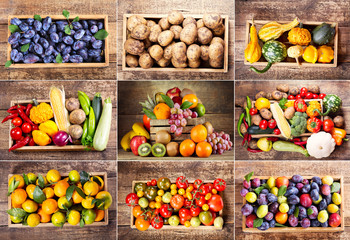 Obrazy na Szkle  kolaż różnych owoców i warzyw