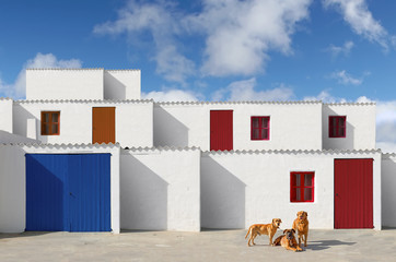 facades of houses with white wall