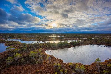 Kemeri swamp landscape