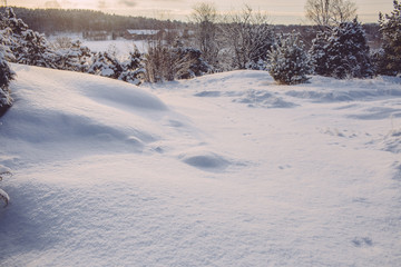 Fototapeta na wymiar frosty winter landscape in snowy forest