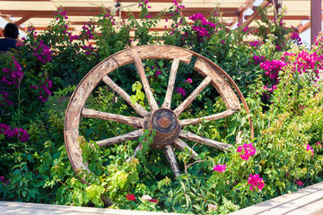 Old broken wagon wheel