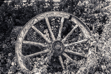 Fototapeta na wymiar Old broken wagon wheel