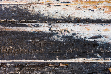Old burnt wood texture