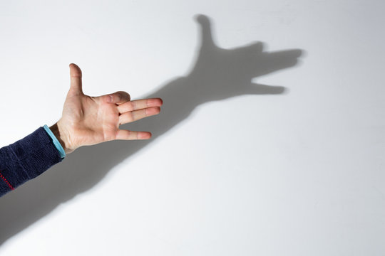 Hand Shadow Puppets Images – Browse 1,744 Stock Photos, Vectors, and Video  | Adobe Stock