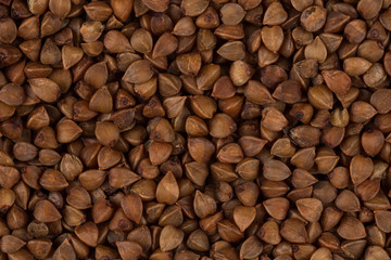 Buckwheat texture