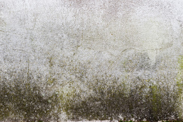 Old grunge textures backgrounds. Perfect background with space.