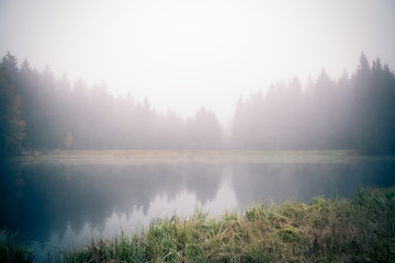 Fototapeta na wymiar Forest lake in the morning mist