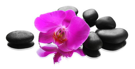 Black spa stones and orchids isolated on white