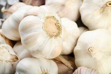 Garlic background