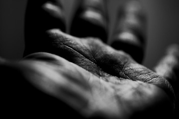 Shadow Hand