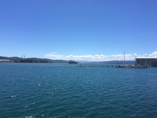 Obraz premium Paddle Boarding On Wellington Harbour