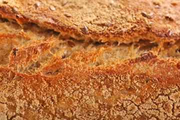 Bread background