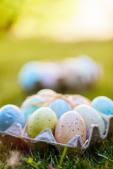 Easter eggs on a grass