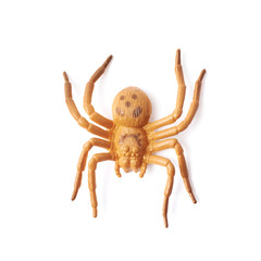 Fake rubber spider toy isolated