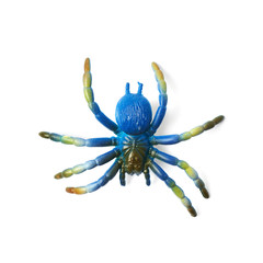 Fake rubber spider toy isolated