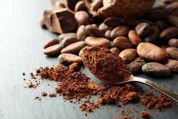 Bowl with aromatic cocoa beans and chocolate on grey background, close up