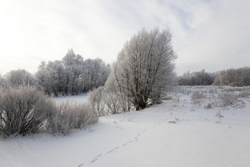 Winter Park ,  snow.