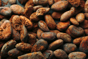 Aromatic cocoa beans and chocolate  background