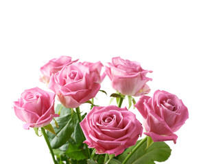 Bouquet of pink roses isolated