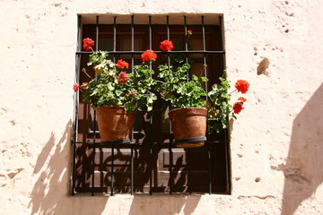 Kloster Santa Catalina in Arequipa, Peru © andigia