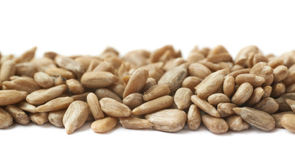 Line of sunflower seeds isolated