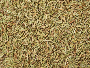 Surface coated with rosmarinus