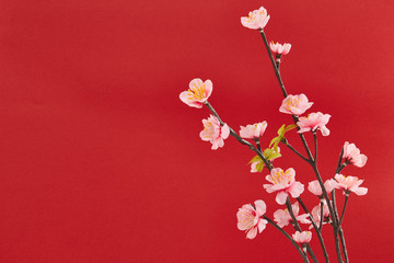 Naklejka na ściany i meble Chinese new year's decoration for Spring festival