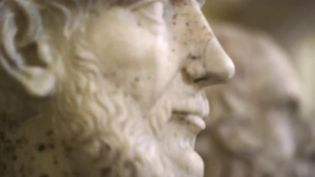 Rack focus footage of roman stone bust sculptures in the Vatican