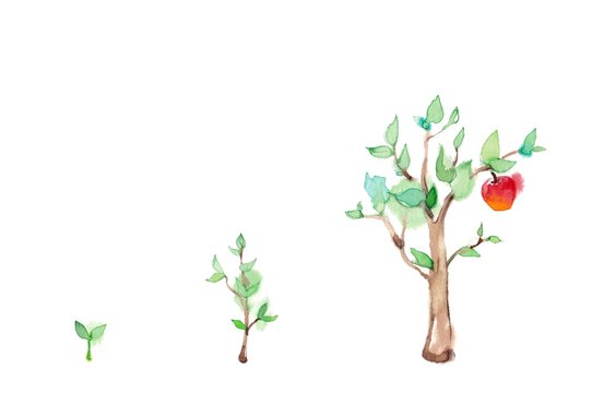木の生長とリンゴ