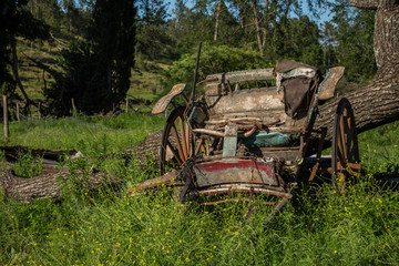Fototapeta na wymiar old cart abandoned