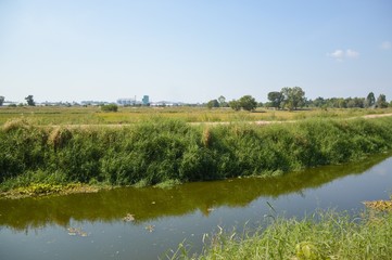 small canal in country Thailand
