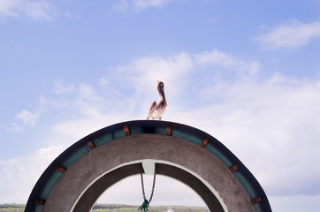 Bird sitting on top of artistic wheel installation with nice blue sky background