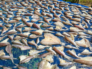 Fish fried background