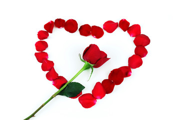 heart by red rose petals with single rose
