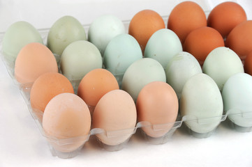 real colorful chicken eggs in the container