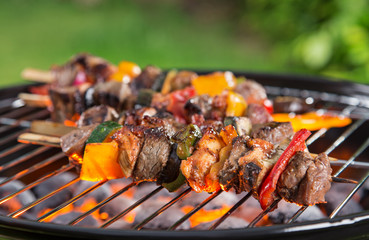 Barbecue grill with various kinds of meat.