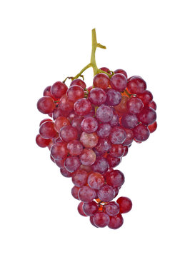 red grapes isolated on white background