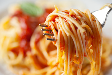 spaghetti with tomato sauce on fork