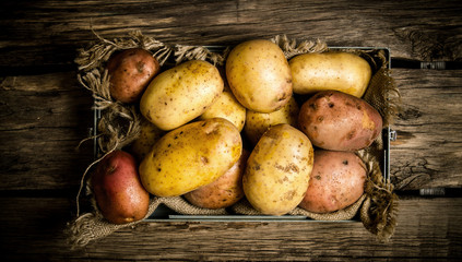 Potatoes in an old box on a wooden table .