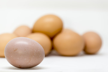 Organics chicken eggs on white backgound 