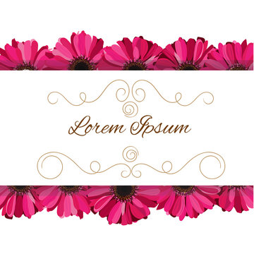 vector invitation with pink gerbera flowers