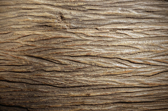 Old Wood texture