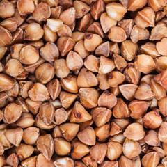 raw buckwheat seeds close up