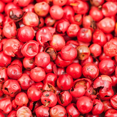 pile of red pepper peppercorns