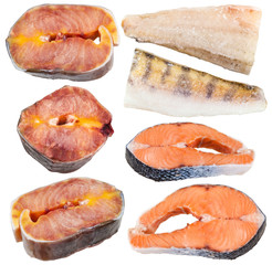 set of frozen fish fillets and steaks isolated