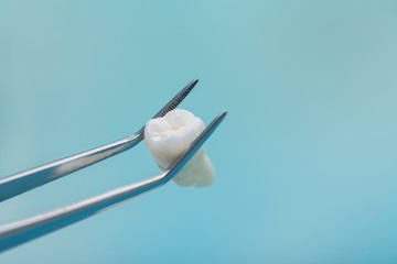 dental care teeth, prevention of dental diseases