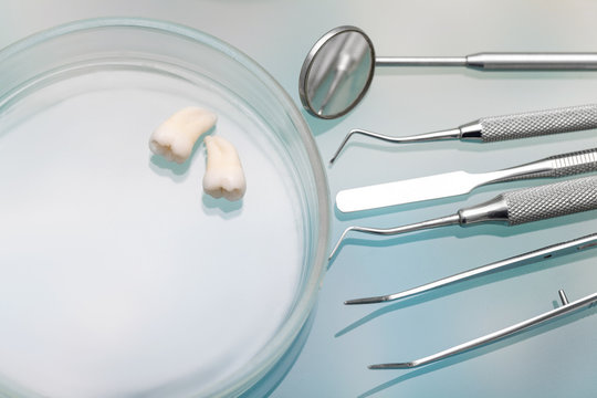dental care teeth, prevention of dental diseases