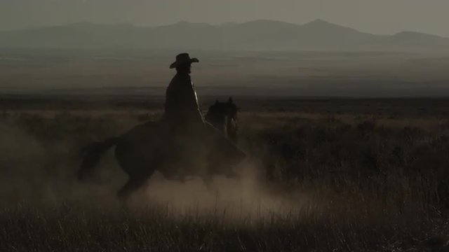 Cowboy riding a horse while turning around at dusk