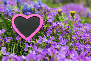 Grußkarte mit rosa Herz vor lila Blaukissen und Traubenhyazinth
