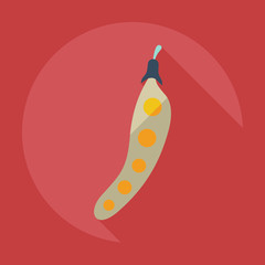 Flat modern design with shadow icons beans